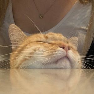 Meet your Posher, Hope